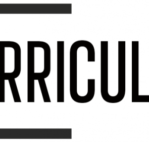 Curriculum